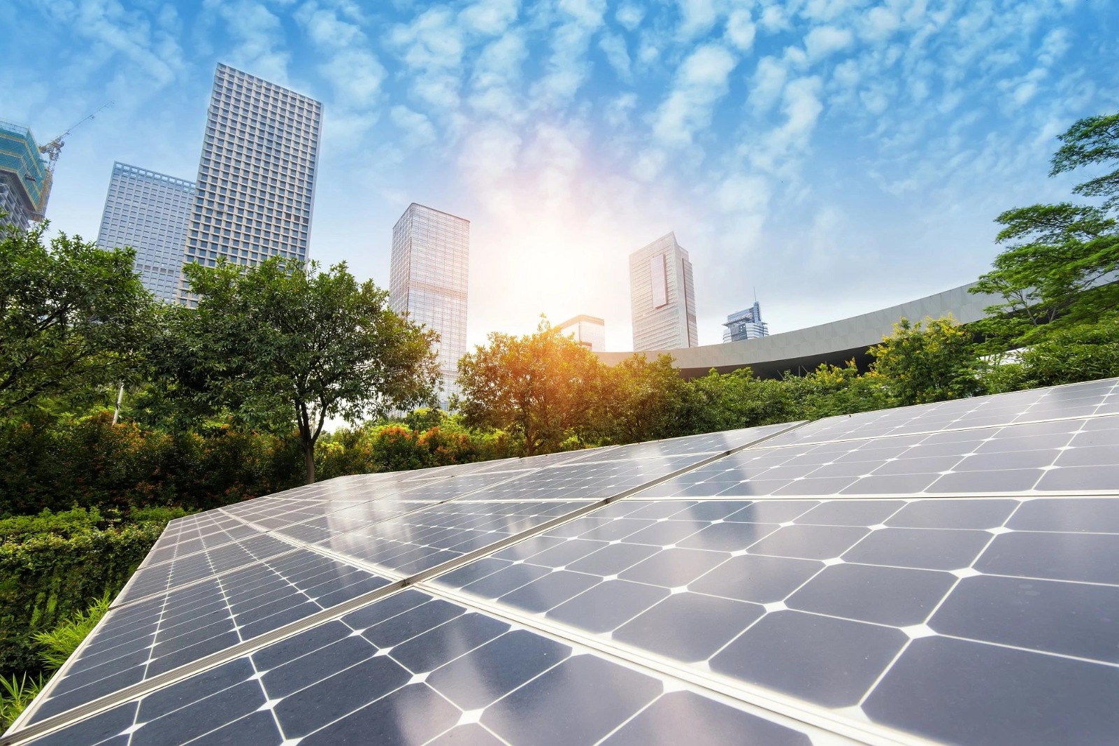 Rooftop solar energy solutions and installation advisory